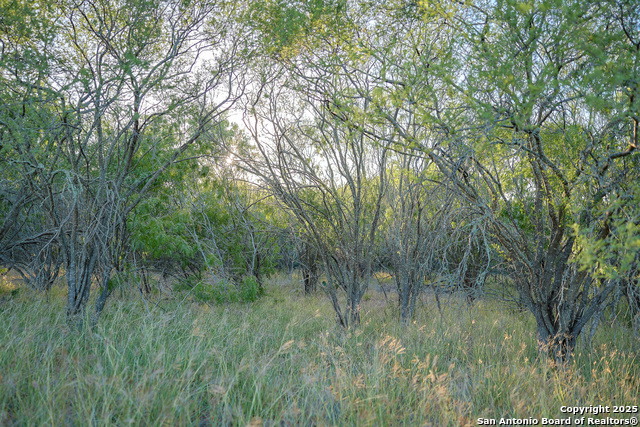 Listing photo id 16 for 6266 Highway 281