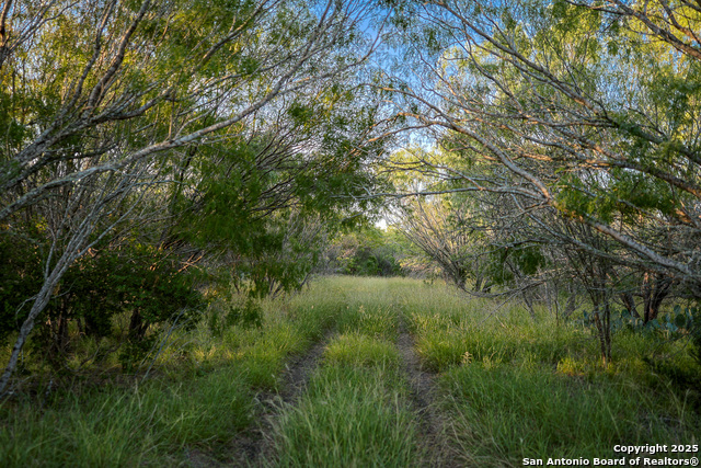 Listing photo id 17 for 6266 Highway 281