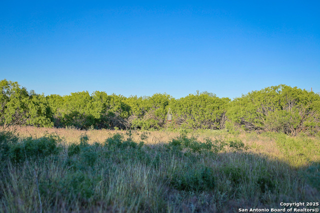 Listing photo id 19 for 6266 Highway 281