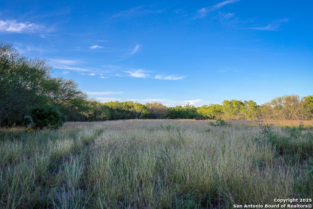 Listing photo id 20 for 6266 Highway 281