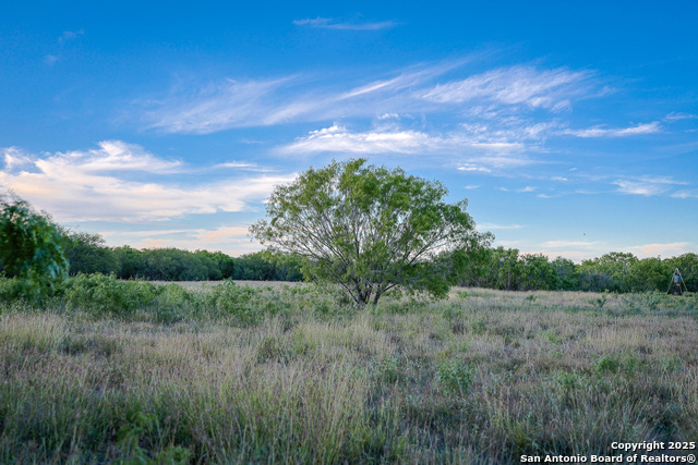 Listing photo id 22 for 6266 Highway 281