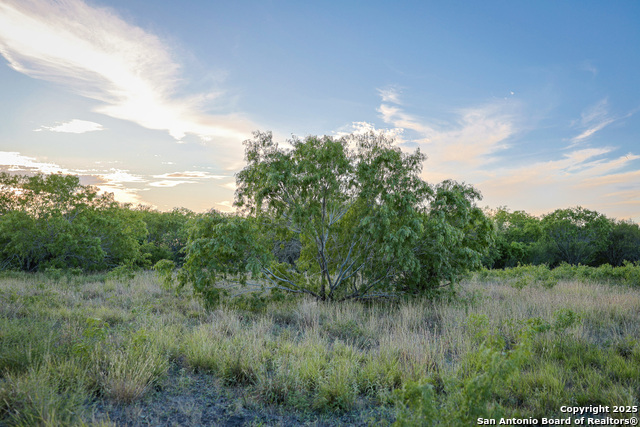 Listing photo id 23 for 6266 Highway 281