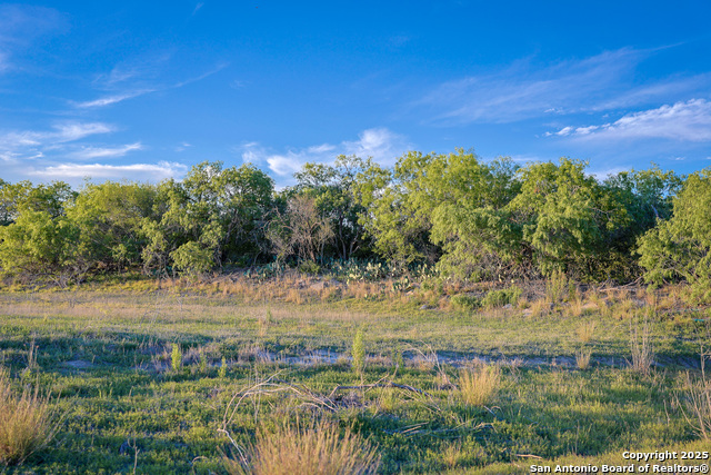 Listing photo id 25 for 6266 Highway 281