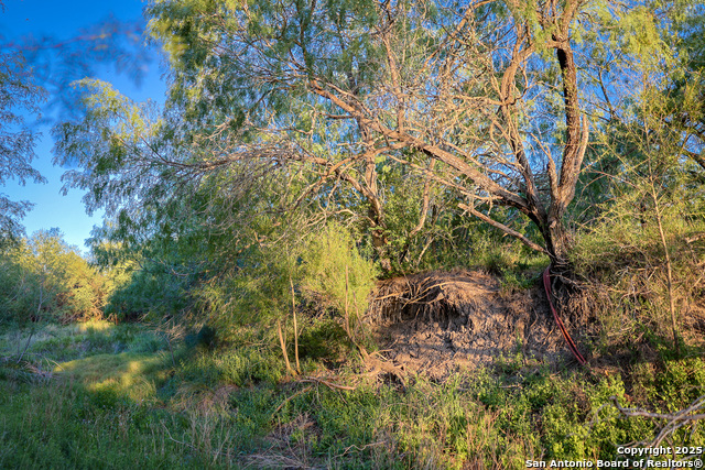 Listing photo id 26 for 6266 Highway 281