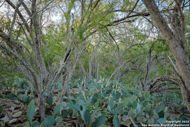 Listing photo id 27 for 6266 Highway 281