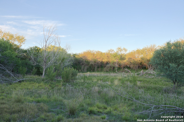 Listing photo id 28 for 6266 Highway 281