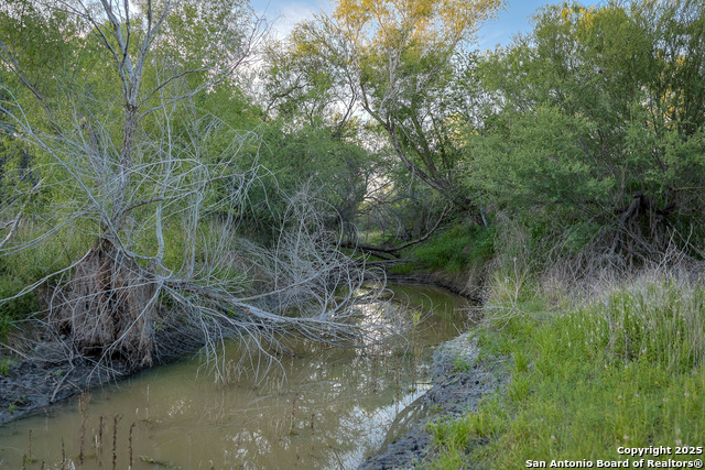 Listing photo id 29 for 6266 Highway 281