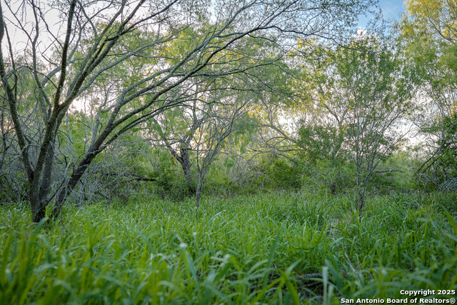 Listing photo id 30 for 6266 Highway 281