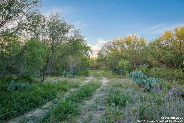 Listing photo id 31 for 6266 Highway 281