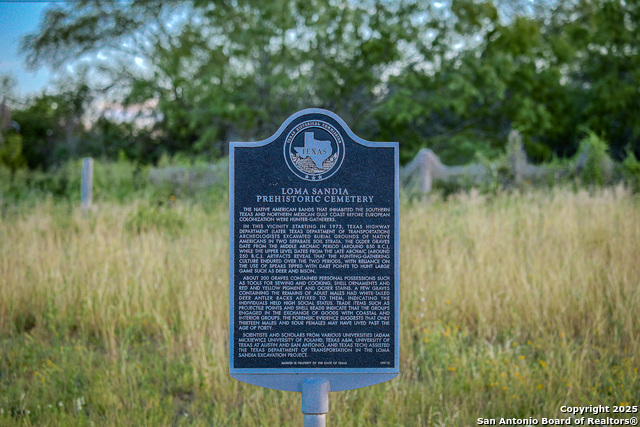 Listing photo id 33 for 6266 Highway 281