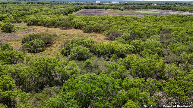 Listing photo id 4 for 6266 Highway 281