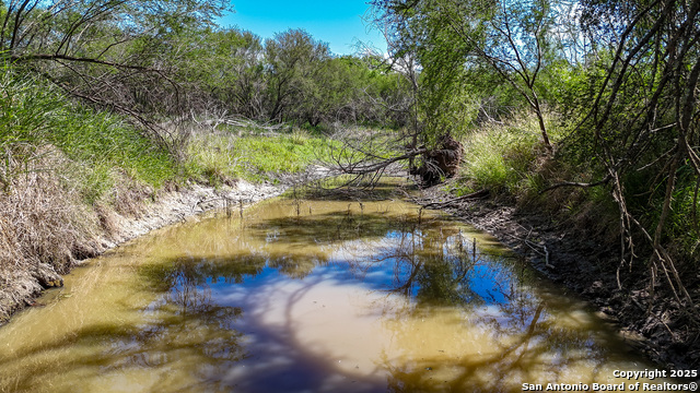 Listing photo id 6 for 6266 Highway 281