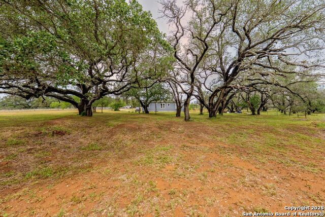 Image 43 of 79 For 1145 Postert Ln