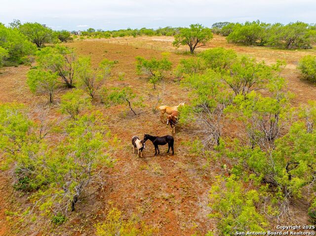 Image 69 of 79 For 1145 Postert Ln