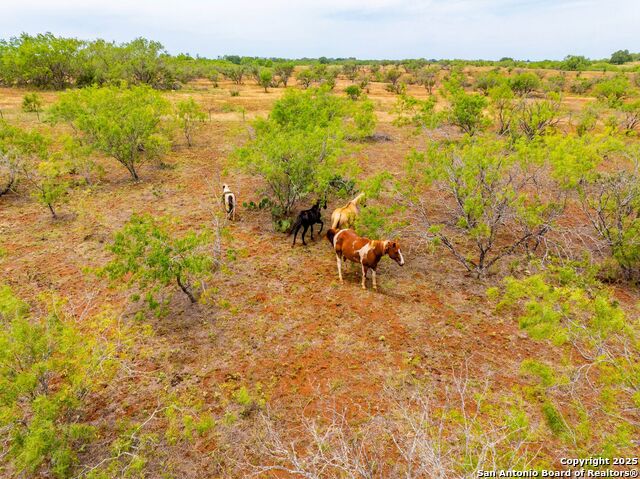 Image 70 of 79 For 1145 Postert Ln