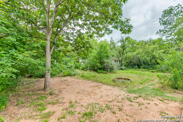 Listing photo id 25 for 1007 And 1013 Fulton