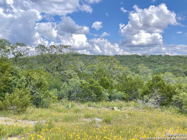 Details for Lot 438 County Rd 2763, Mico, TX 78056
