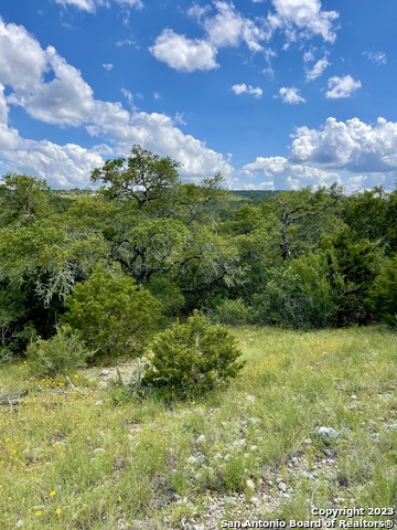 Listing photo id 8 for Lot 438 County Rd 2763