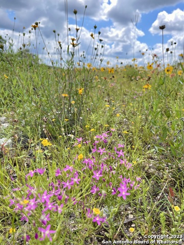 Listing photo id 9 for Lot 438 County Rd 2763