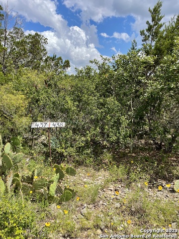 Listing photo id 3 for Lot 438 County Rd 2763