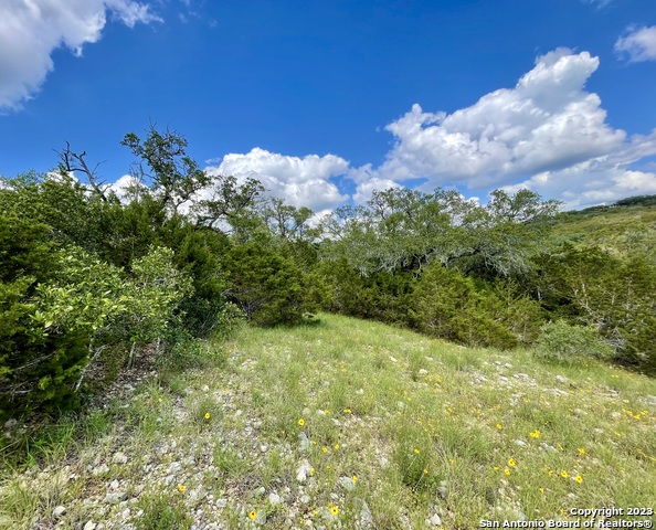 Listing photo id 6 for Lot 438 County Rd 2763