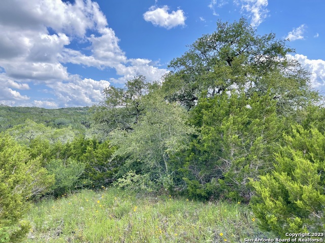 Listing photo id 7 for Lot 438 County Rd 2763