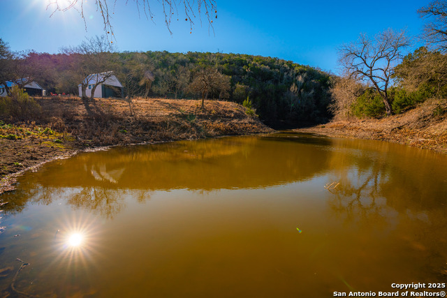 Listing photo id 14 for 101 Bella Springs Rd