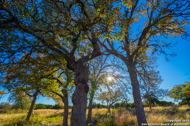 Listing photo id 16 for 101 Bella Springs Rd