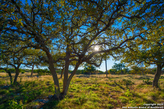 Listing photo id 17 for 101 Bella Springs Rd