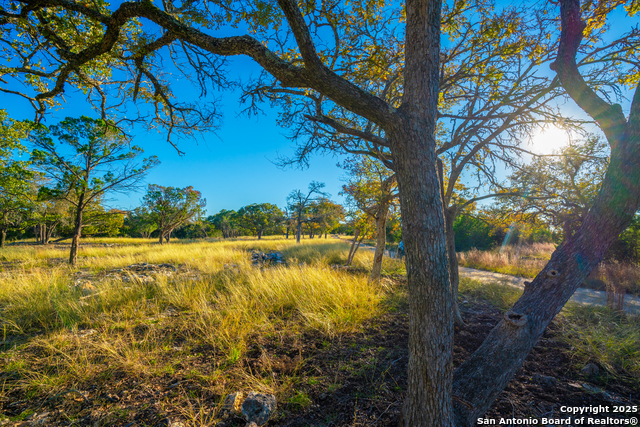 Listing photo id 20 for 101 Bella Springs Rd