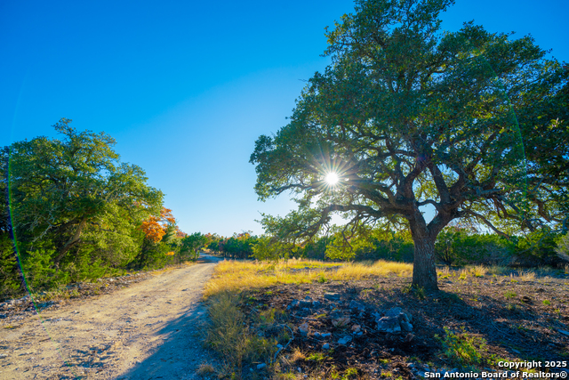 Listing photo id 21 for 101 Bella Springs Rd