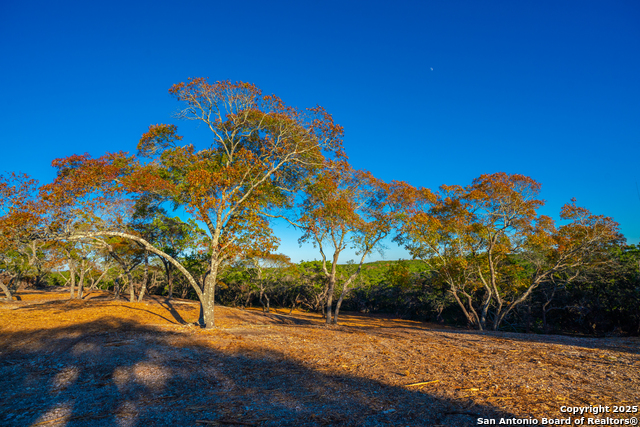 Listing photo id 22 for 101 Bella Springs Rd