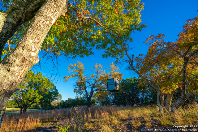 Listing photo id 23 for 101 Bella Springs Rd