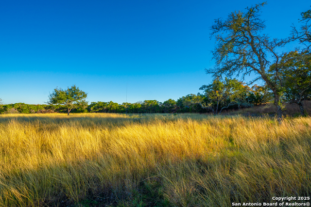 Listing photo id 25 for 101 Bella Springs Rd