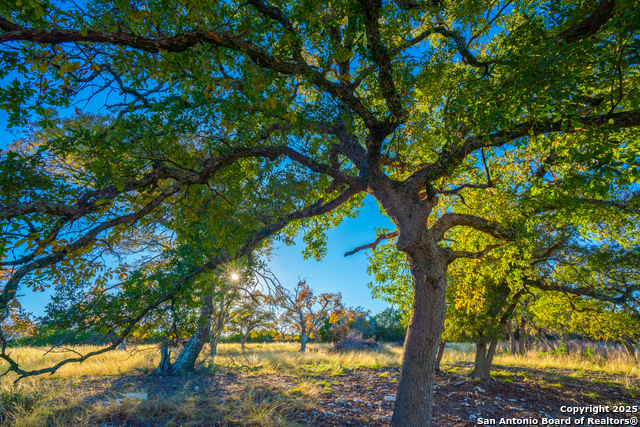 Listing photo id 26 for 101 Bella Springs Rd