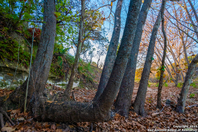 Listing photo id 30 for 101 Bella Springs Rd