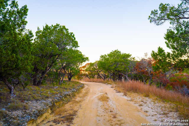 Listing photo id 31 for 101 Bella Springs Rd
