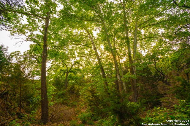 Listing photo id 37 for 101 Bella Springs Rd