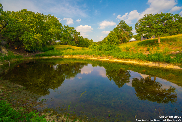 Listing photo id 3 for 101 Bella Springs Rd