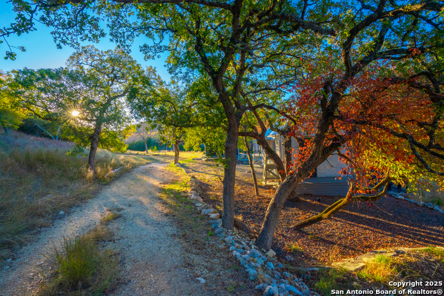 Listing photo id 6 for 101 Bella Springs Rd