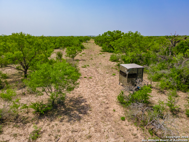 Listing photo id 0 for 4984 Us Highway 83 S