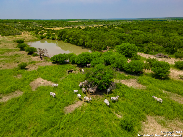 Listing photo id 1 for 4984 Us Highway 83 S