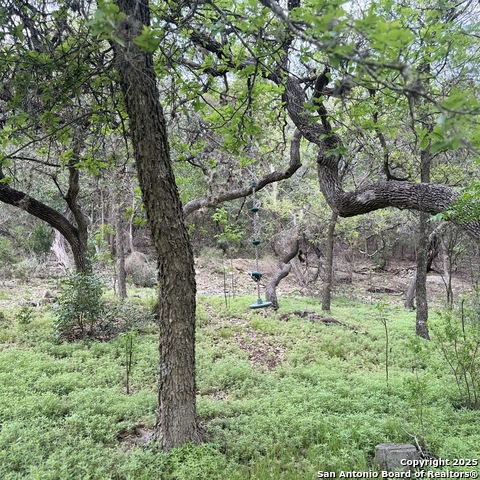Listing photo id 47 for 19023 Sherwood