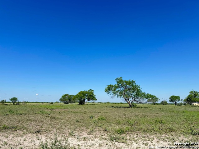 Details for Lot 2 0 Cr 197, Falls City, TX 78113