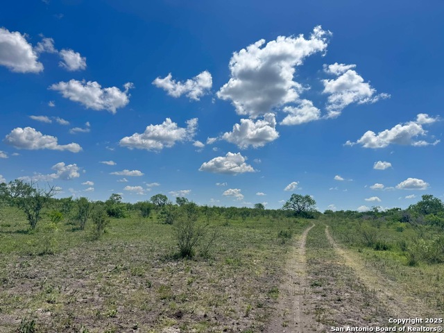 Image 3 of 6 For Lot 2 0 Cr 197