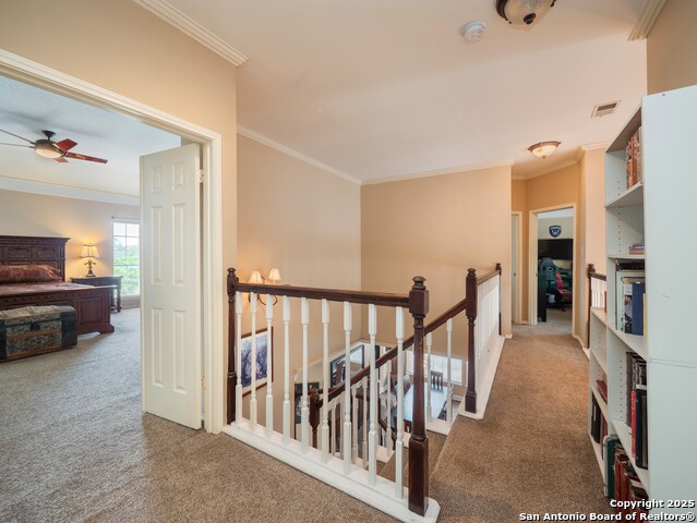 Listing photo id 20 for 13830 Morningbluff Dr