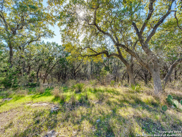 Details for 223 Lakeview, Spring Branch, TX 78070
