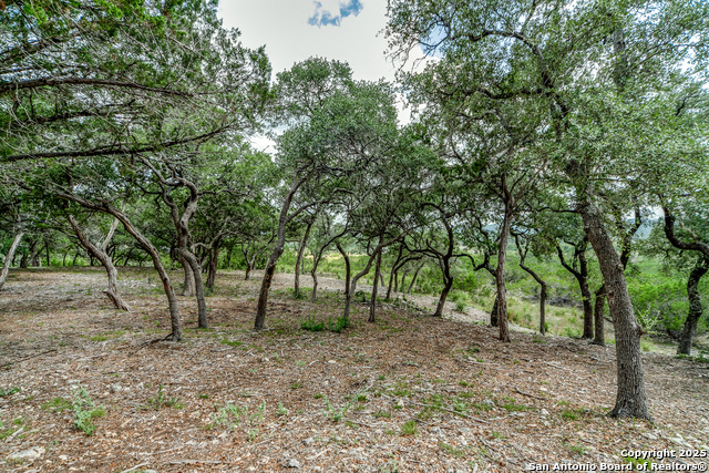 Image 35 of 56 For 108 Palomino Springs