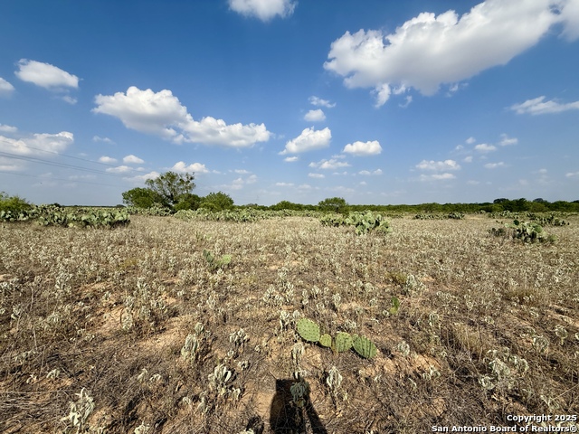 Image 3 of 11 For Tbd Cr 1647 E