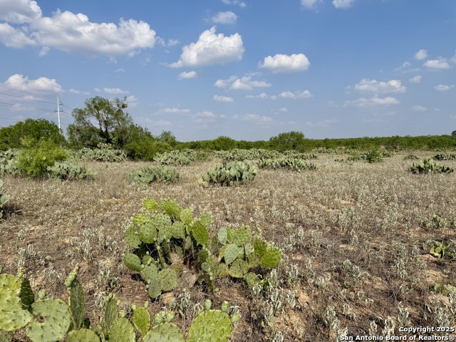 Image 10 of 11 For Tbd Lot 61 Cr 1647 E